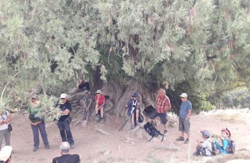 Uzbekistan House | Kuldosh`s homestay in Majrum village