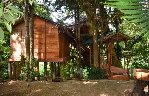 Debarawewa Villa | Kumbuk Tree House