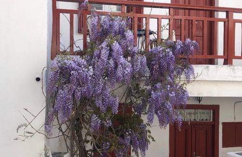 Kithnos House | Kythnian Traditional 19th Century House