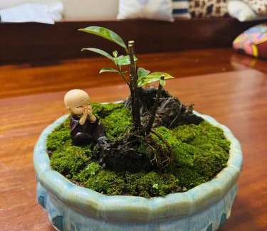 Buon Ma Thuot Apartment | Làng Êđê home's