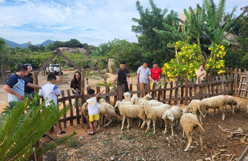 Thuan Nam House | Làng Cừu Farmstay