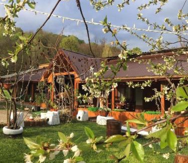 Curtea De Arges Other | Lângă Stână