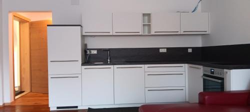 Rankweil Apartment | Ländle-Appartement