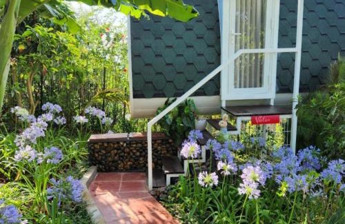 Di Linh Hotel | Lê Đinh’s House