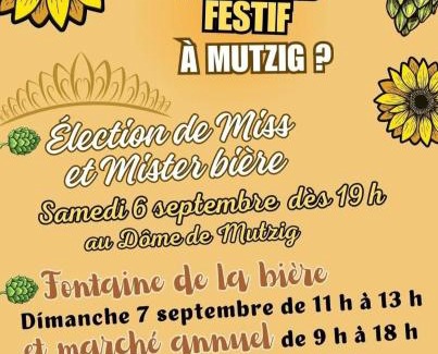 Mutzig Apartment | L'étape