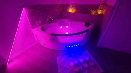 Joigny House | L'évasion SPA maison avec jardin, hypercentre, très calme