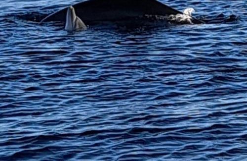 Cabras Bed & Breakfast | L'ALGA