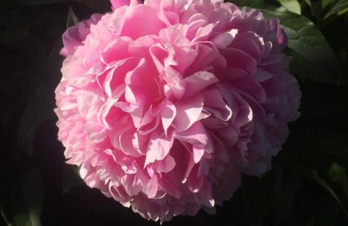 Casalnuovo di Napoli House | L'Approdo 2