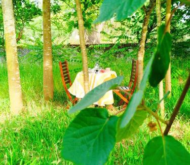 Ferreira-a-Nova Bed & Breakfast | L'Arche de Jo