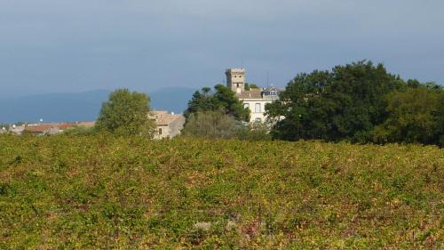 Rustiques House | l'Ecrit Vin