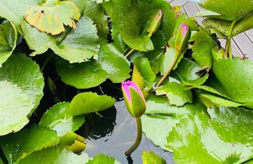 Saint-Andre Bed & Breakfast | L'Est-capade