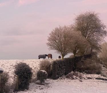 Mettet Other | L' Instant d' une nuit