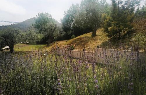 Caccamo House | L'Opuntia sul lago