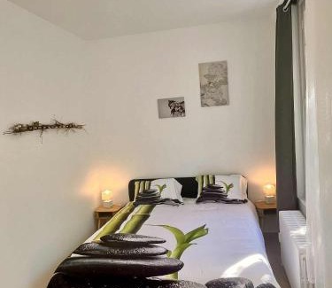 Quartier Saint-Clement - Jardin des Plantes Apartment | L'Orée du Jardin T3 parking