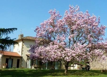 Sonnac Bed & Breakfast | L'Oustal Chambres et Tables d'Hôtes