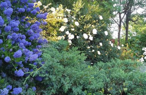 Busca Bed & Breakfast | 'L Ramassin