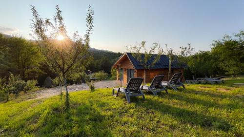 Bradulet Ski Chalet | La Bârlog Loft