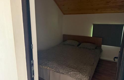 Tasca House | La Butuci