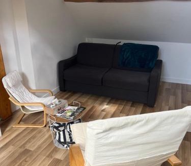 Aubigny-sur-Nere Apartment | La cabane