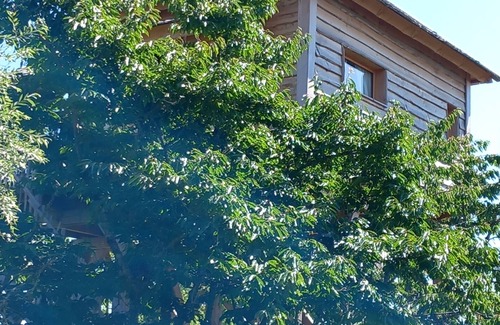 Segonzac Cabin | La Cabane Perchée de L'Idylle & Spa, between Périgord and Corrèze