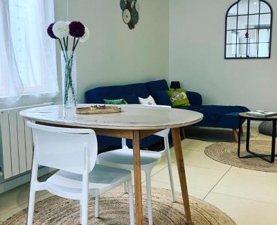 Saint-Jean-de-Losne Apartment | La calèche, la Diligence, centre St Jean de Losne