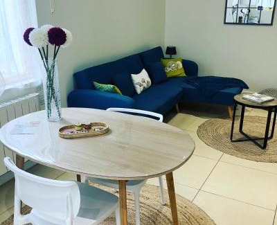 Saint-Jean-de-Losne Apartment | La calèche, la Diligence, centre St Jean de Losne