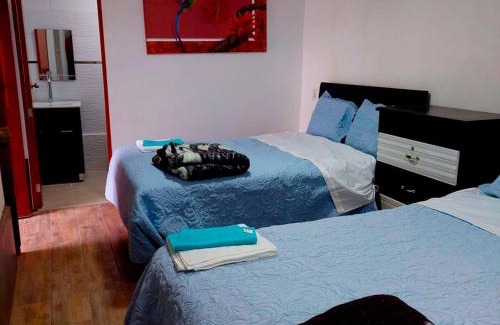 Paca Hotel | La casa de Florencia
