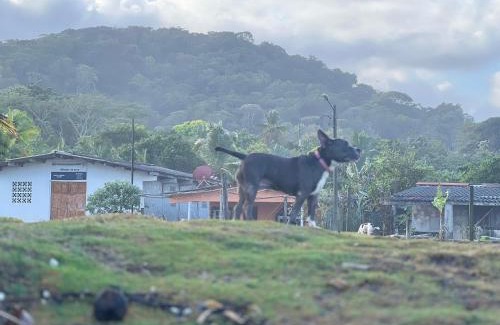 Nombre de Dios House | La Casa de Mamá Sol