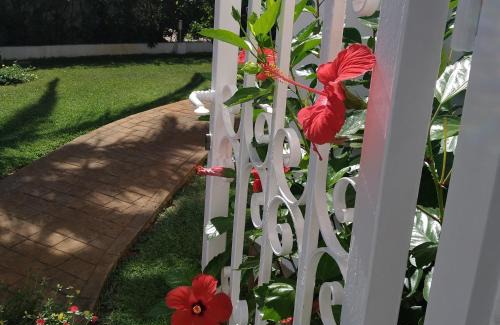 Les Deveses House | La casa de Sara