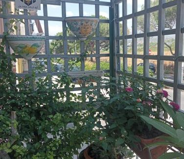 Paterno Apartment | La casa delle api