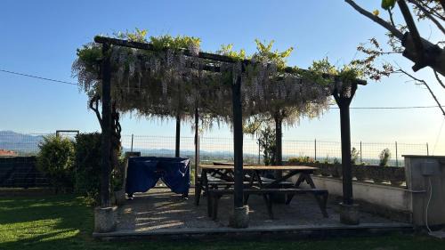 Cerrione House | La Casa di Pietro