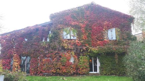 Medesano Villa | La Casa Sopra Le Nuvole