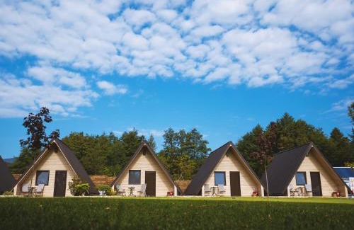 Oestii Paminteni Other | La Casute