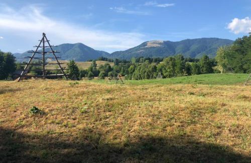 Corbeni Other | La Container