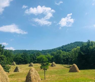 Corbeni Other | La Container