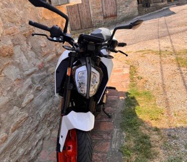 Loiano Apartment | La corte dei celti -1