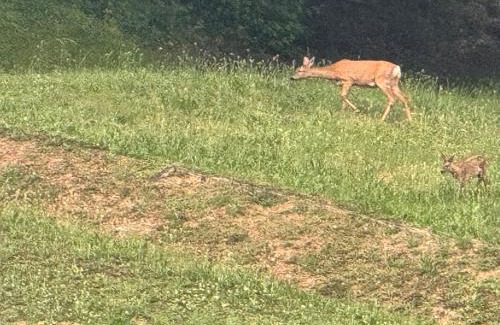 Loiano Apartment | La corte dei celti -1