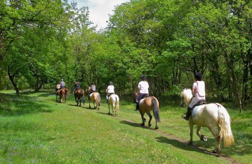 Arcavacata Bed & Breakfast | La dimora di Radha B&B Centro Olistico