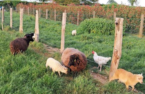 La Celle-sous-Gouzon House | La ferme de philippe et sabine