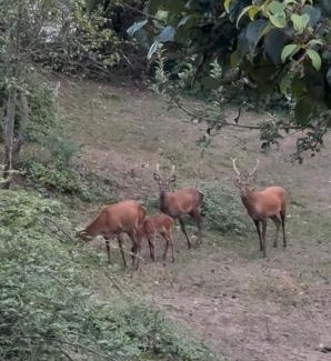 Luceram House | La Ferme des Cailletiers chez Marco