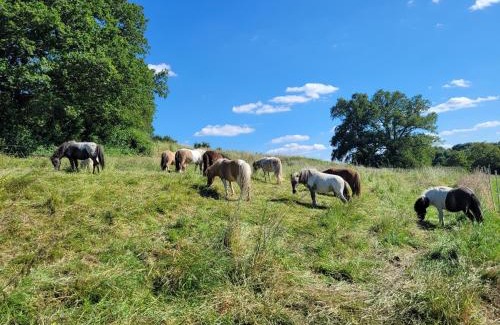Alencon House | La Garencière - La Petite Maison