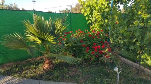 Gibraleon House | La Guindilla