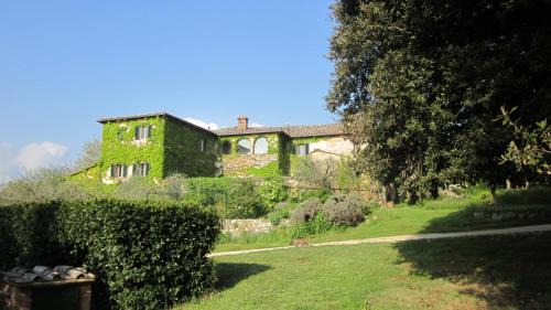 Siena Apartment | La Locaia