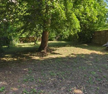 Pfaffenhoffen House | La maison des Bretzels GÎTE jacuzzi et charme Alsacien