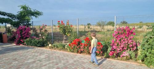 Costinesti Villa | La Matraguna