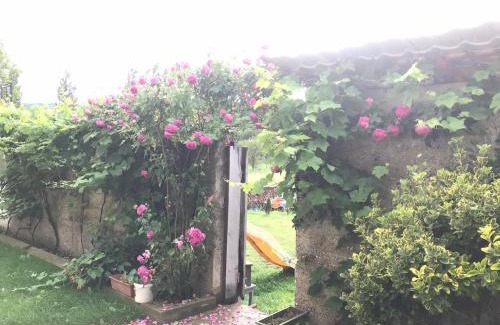 Sasca Montana House | La Nera