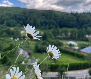 Valea Mare-Pravat House | La numărul 100, Nămăești