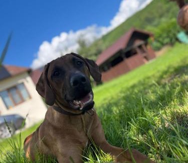 Valea Mare-Pravat House | La numărul 100, Nămăești