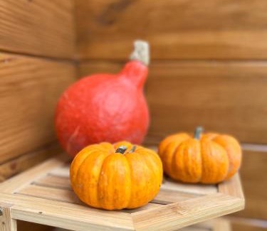 Wavreille Ski Chalet | La Parenthèse Enchantée