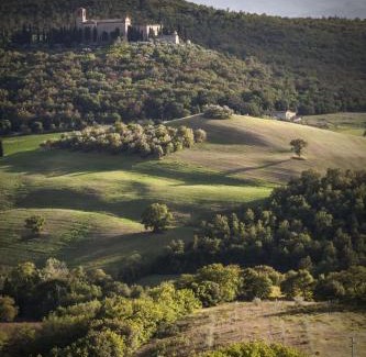 Trequanda Villa | La Pieve 1 by Salogi Villas